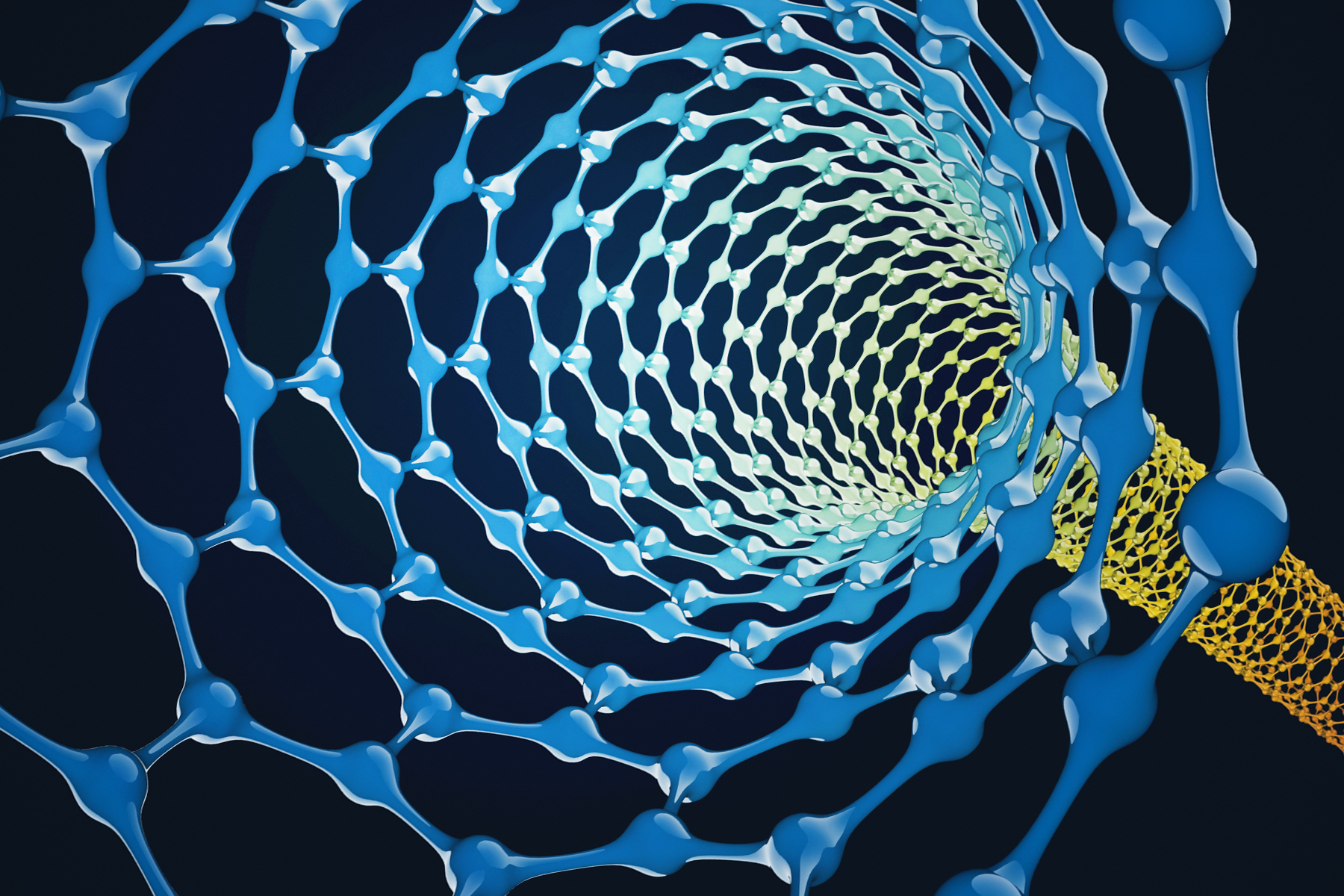 Carbon Nanotube
