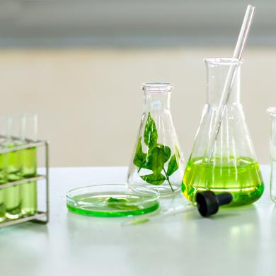 Biocontrol Testing