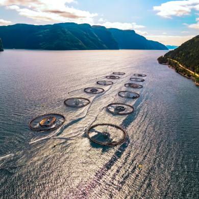 Salmon Farm in Norway