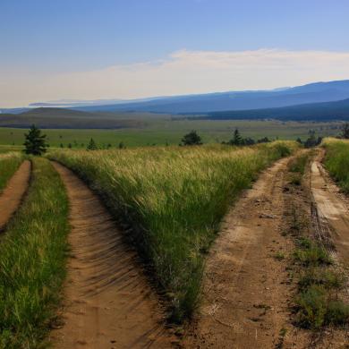 Two paths moving away from each other.