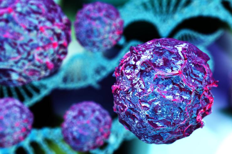 Visualisation of Endocrine Disruption