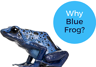 Why Blue Frog