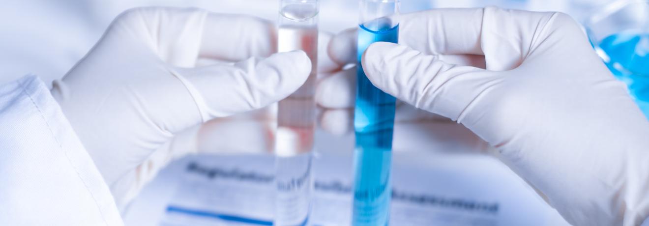 SSbD Chemical Regulatory Feasibility Assessment