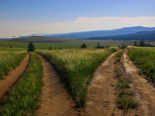 Two paths moving away from each other.