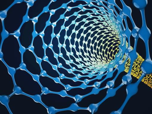 Carbon Nanotube