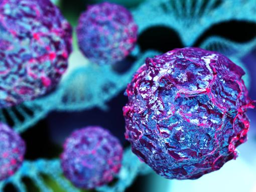 Visualisation of Endocrine Disruption