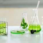 Biocontrol Testing