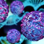 Visualisation of Endocrine Disruption